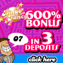 Bingo Fancy